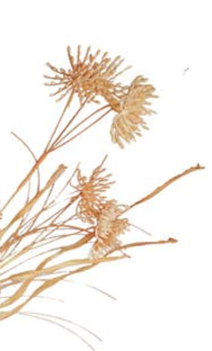 Wispy Fall Flower Pick - 24 in long each