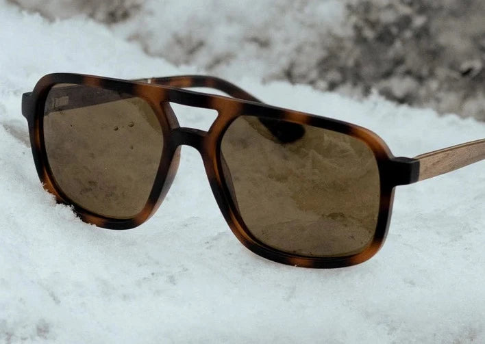 Camp Glacier Sunglasses